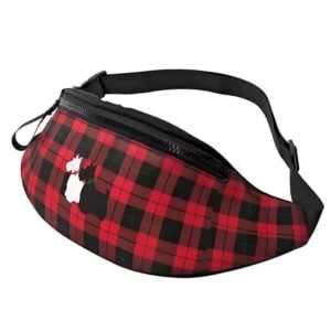 sac banane femme écossais vue large